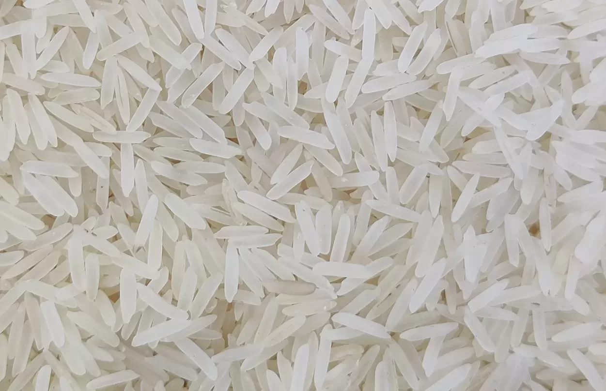 1509 Pesticides Residue Sella Rice